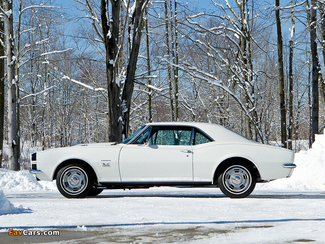 Chevrolet Camaro Yenko RS/SS 427 (12437) 1967 wallpapers (640 x 480)