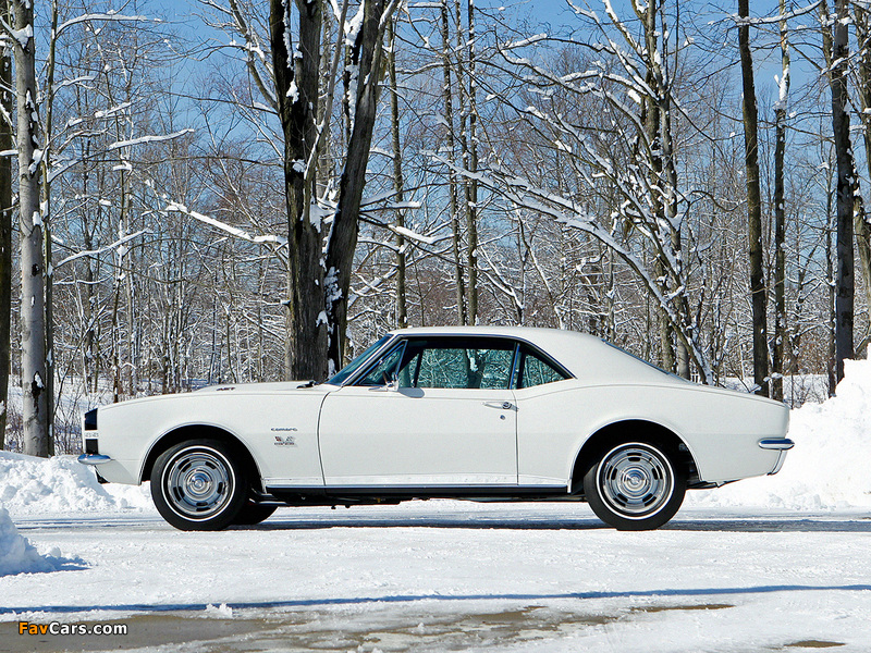 Chevrolet Camaro Yenko RS/SS 427 (12437) 1967 wallpapers (800 x 600)