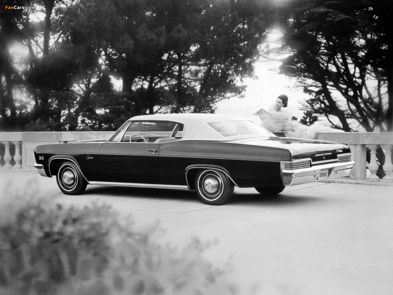 Chevrolet Caprice Custom Coupe (16647) 1966 photos (1280 x 960)