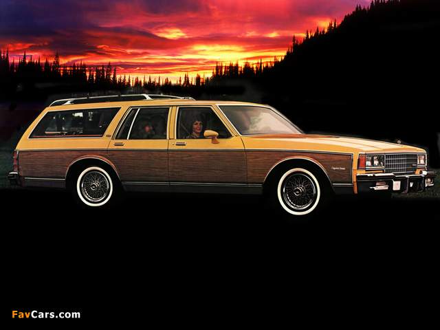 Chevrolet Caprice Classic Estate (N35) 1980 photos (640 x 480)