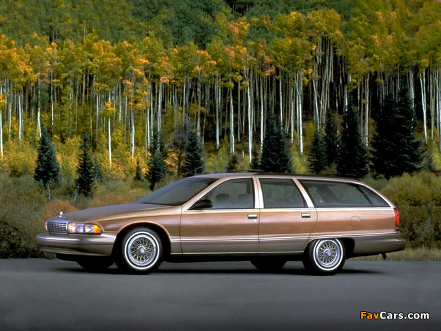 Chevrolet Caprice Station Wagon 1991–96 photos (640 x 480)