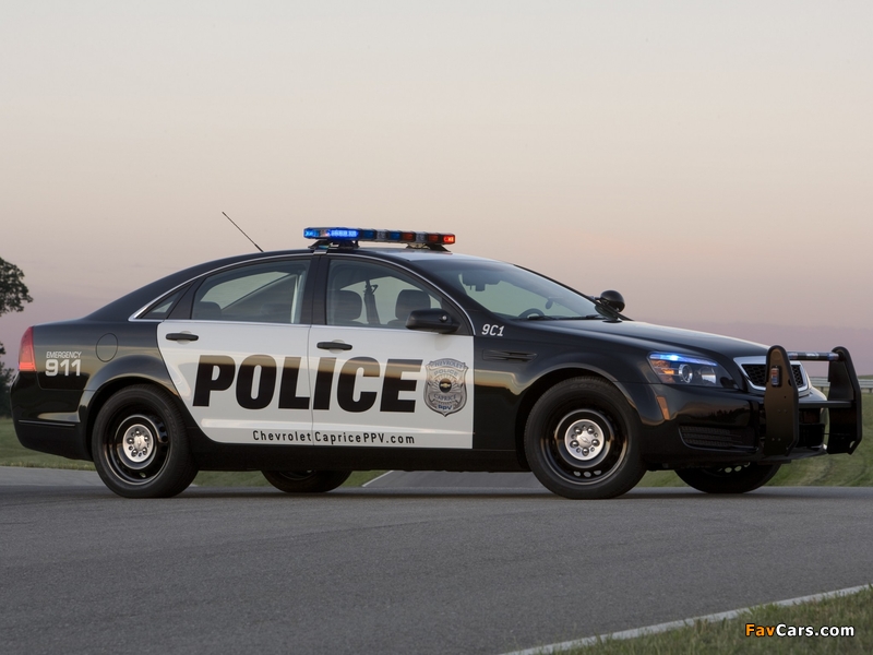 Chevrolet Caprice Police Patrol Vehicle 2010 images (800 x 600)