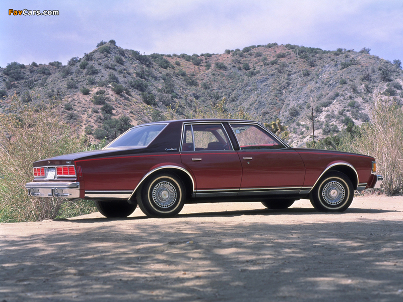 Images of Chevrolet Caprice Classic 1978 (800 x 600)