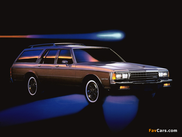 Images of Chevrolet Caprice Estate Wagon 1987–90 (640 x 480)