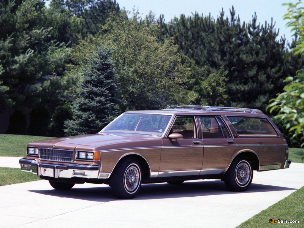 Pictures of Chevrolet Caprice Estate Wagon 1986 (1024 x 768)