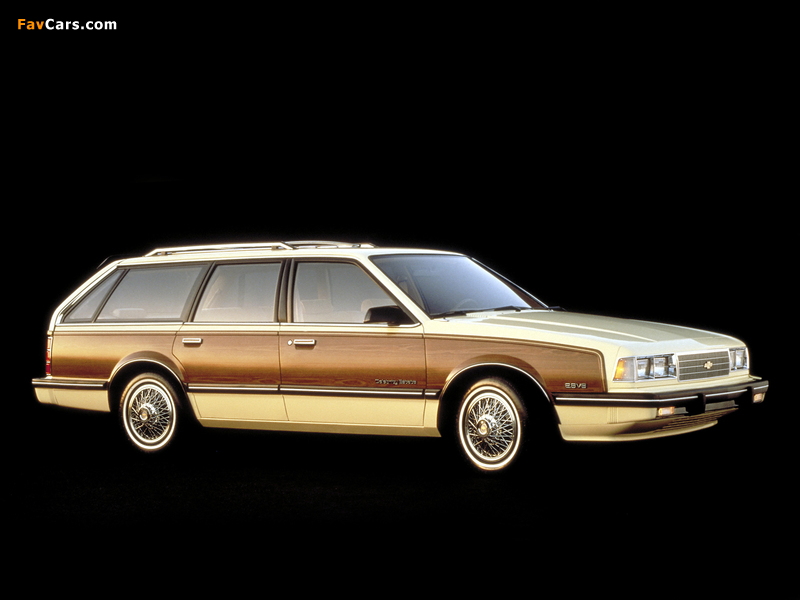 Chevrolet Celebrity Estate Wagon (W35/AQ4) 1986 images (800 x 600)