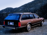Images of Chevrolet Celebrity Station Wagon (W35/AQ4) 1984