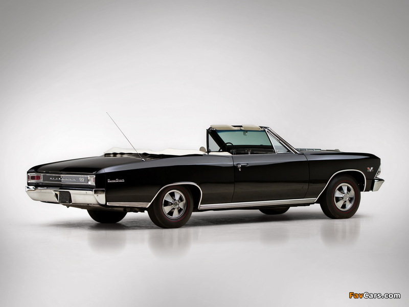 Chevrolet Chevelle SS 396 Convertible 1966 photos (800 x 600)