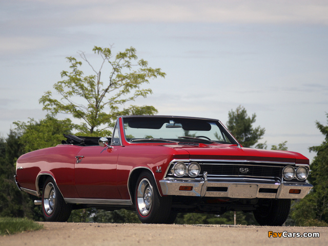 Chevrolet Chevelle SS 396 Convertible 1966 wallpapers (640 x 480)