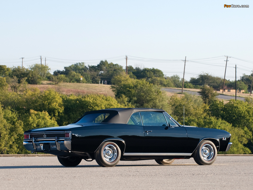 Chevrolet Chevelle SS 396 Convertible 1967 pictures (1024 x 768)