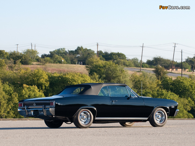Chevrolet Chevelle SS 396 Convertible 1967 pictures (640 x 480)