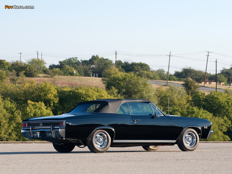 Chevrolet Chevelle SS 396 Convertible 1967 pictures (800 x 600)