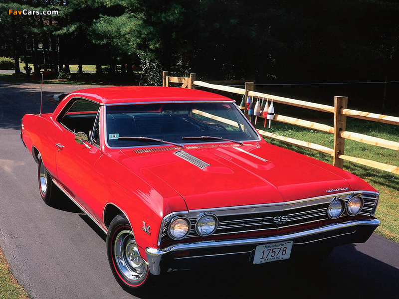 Chevrolet Chevelle SS 396 Hardtop Coupe 1967 pictures (800 x 600)