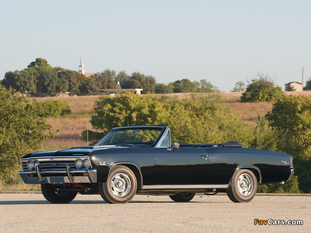 Chevrolet Chevelle SS 396 Convertible 1967 wallpapers (640 x 480)