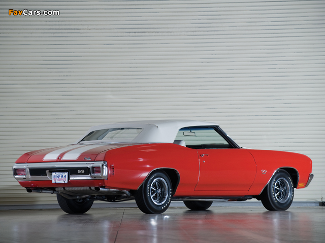 Chevrolet Chevelle SS 396 Convertible 1970 images (640 x 480)