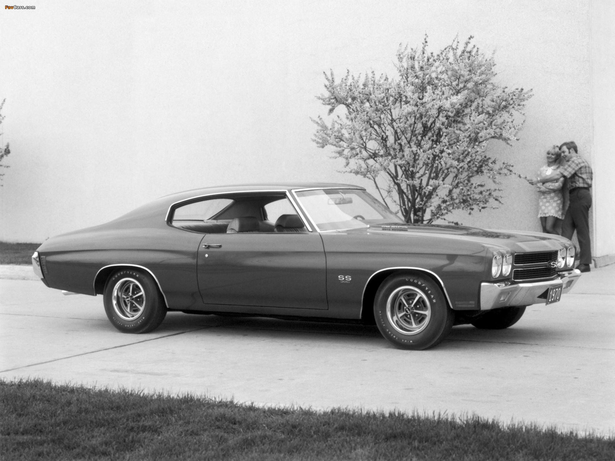 Chevrolet Chevelle SS 396 Hardtop Coupe 1970 photos (2048 x 1536)