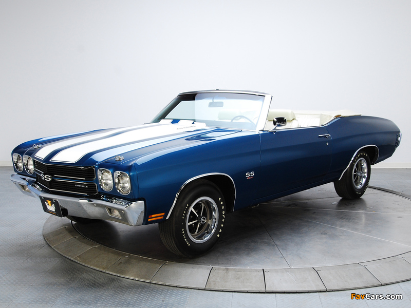 Chevrolet Chevelle SS 454 LS5 Convertible 1970 pictures (800 x 600)