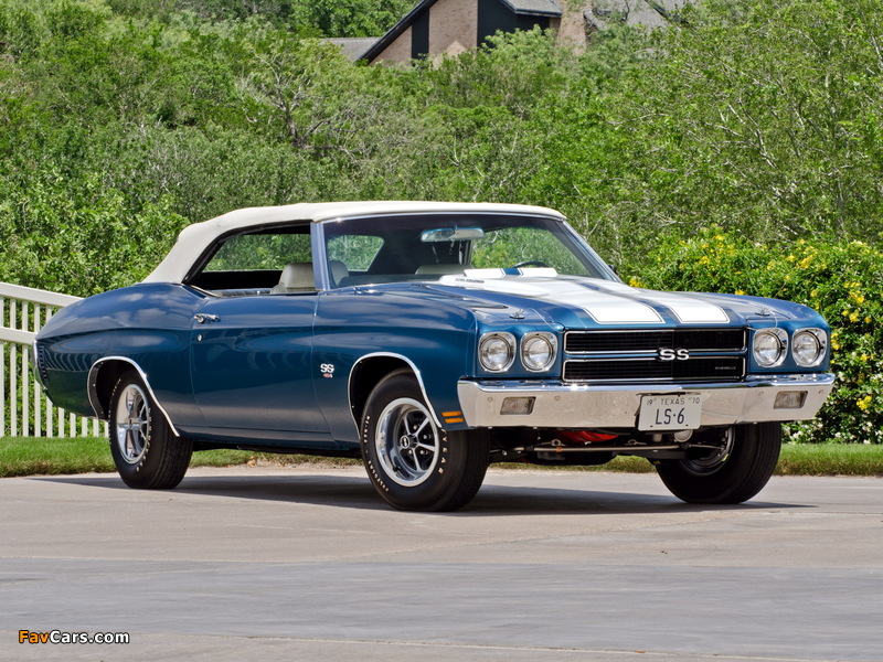 Chevrolet Chevelle SS 454 LS6 Convertible 1970 pictures (800 x 600)