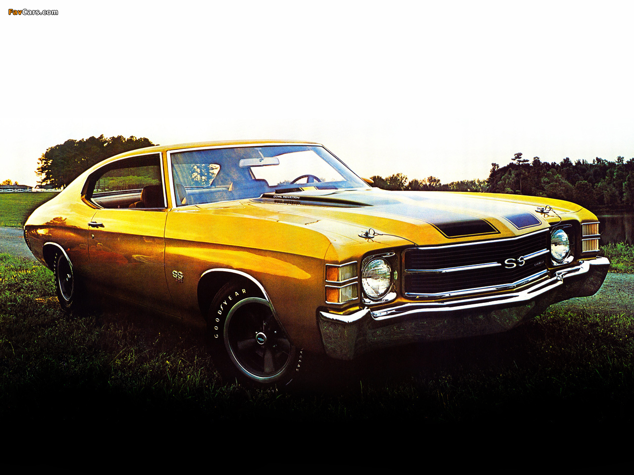 Chevrolet Chevelle SS 1971 images (1280 x 960)
