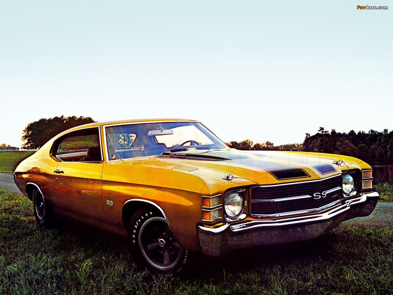 Chevrolet Chevelle SS 454 Hardtop Coupe (3637) 1971 wallpapers (1280 x 960)
