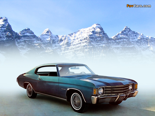 Chevrolet Chevelle Malibu Sport Coupe (1D37) 1972 pictures (640 x 480)