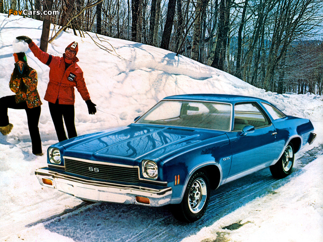 Chevrolet Chevelle Malibu SS Coupe 1973 pictures (640 x 480)
