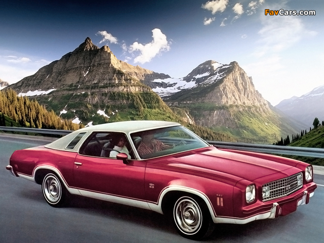 Chevrolet Chevelle Laguna Type S-3 Colonnade Coupe 1974 images (640 x 480)