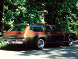 Chevrolet Chevelle Malibu Classic Estate Wagon (G35) 1974 photos