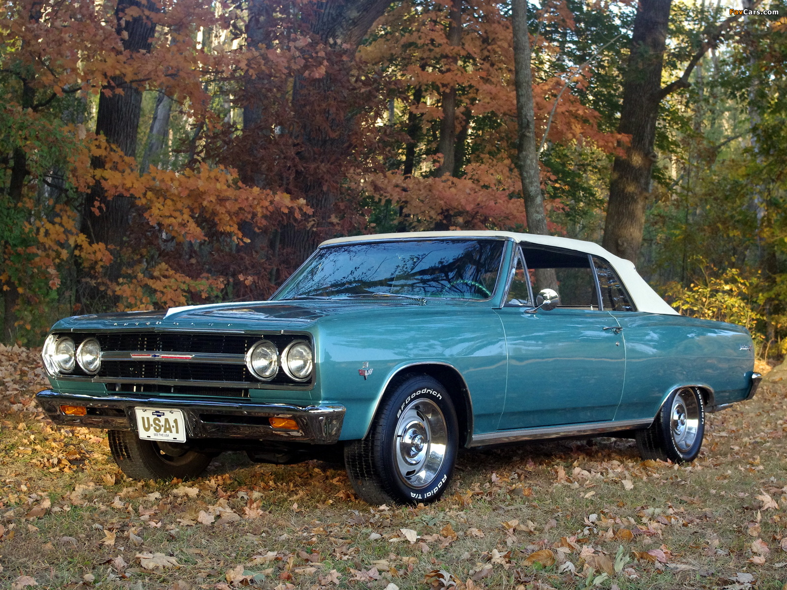 Images of Chevrolet Chevelle Malibu Convertible 1965 (1600 x 1200)