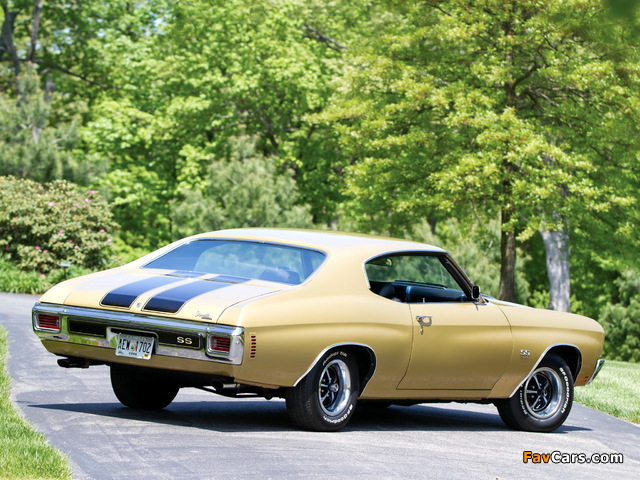 Images of Chevrolet Chevelle SS 454 Hardtop Coupe 1970 (640 x 480)