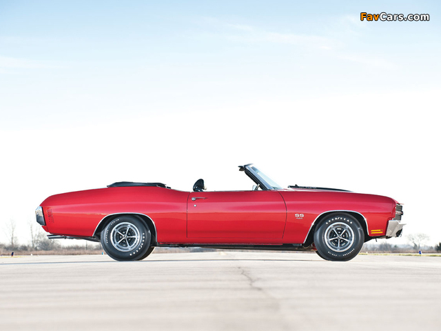 Photos of Chevrolet Chevelle SS 454 LS6 Convertible 1970 (640 x 480)