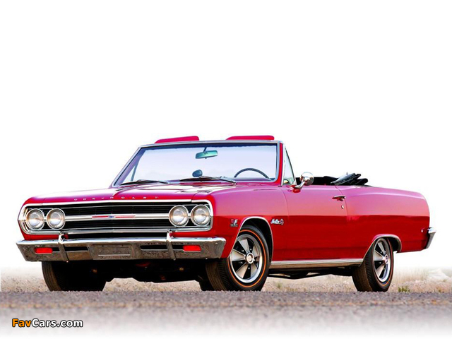 Pictures of Chevrolet Chevelle Malibu SS 396 Z16 Convertible 1965 (640 x 480)