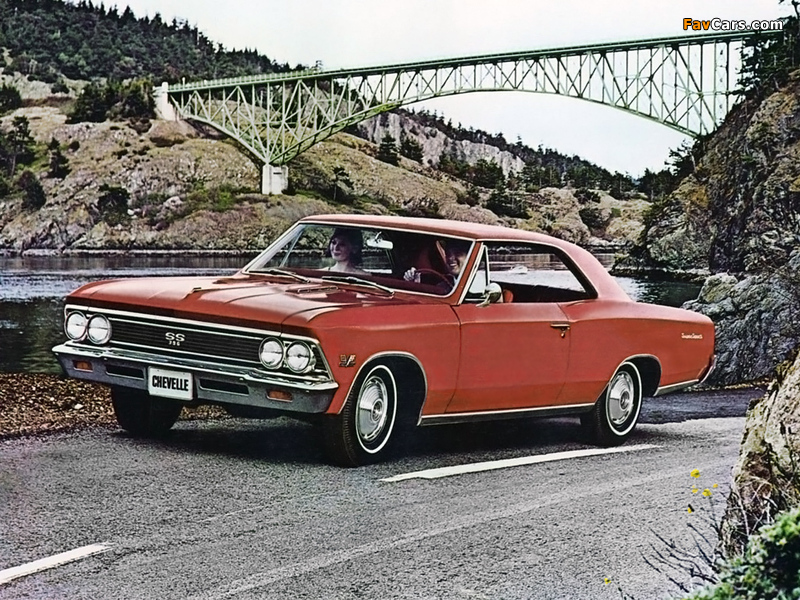 Pictures of Chevrolet Chevelle SS 396 1966 (800 x 600)