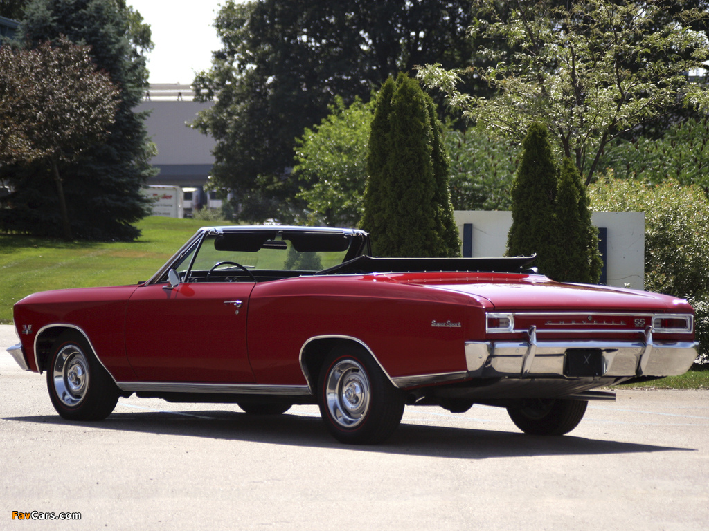 Pictures of Chevrolet Chevelle SS 396 Convertible 1966 (1024 x 768)