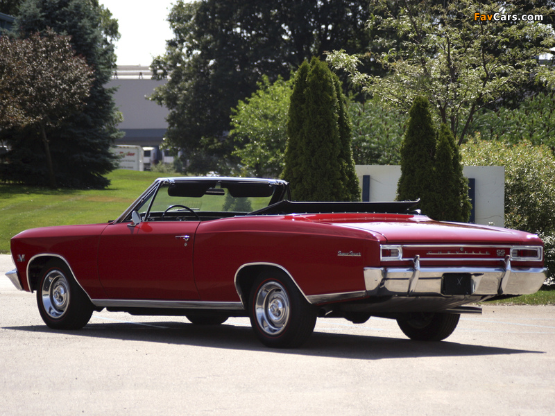 Pictures of Chevrolet Chevelle SS 396 Convertible 1966 (800 x 600)