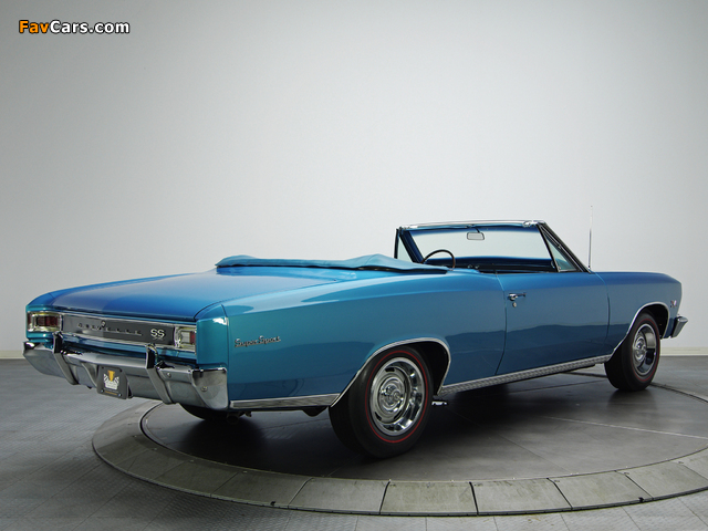 Pictures of Chevrolet Chevelle SS 396 Convertible 1966 (640 x 480)