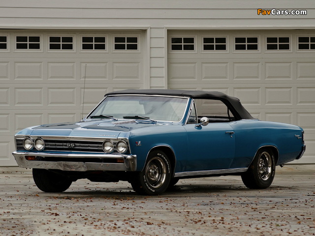 Pictures of Chevrolet Chevelle SS 396 Convertible 1967 (640 x 480)