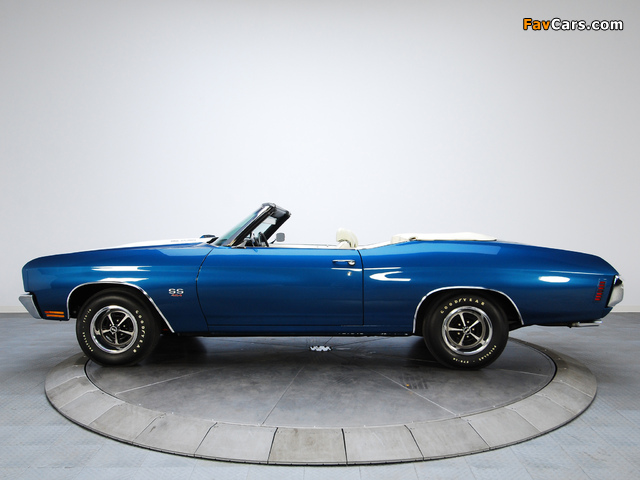 Pictures of Chevrolet Chevelle SS 454 LS5 Convertible 1970 (640 x 480)