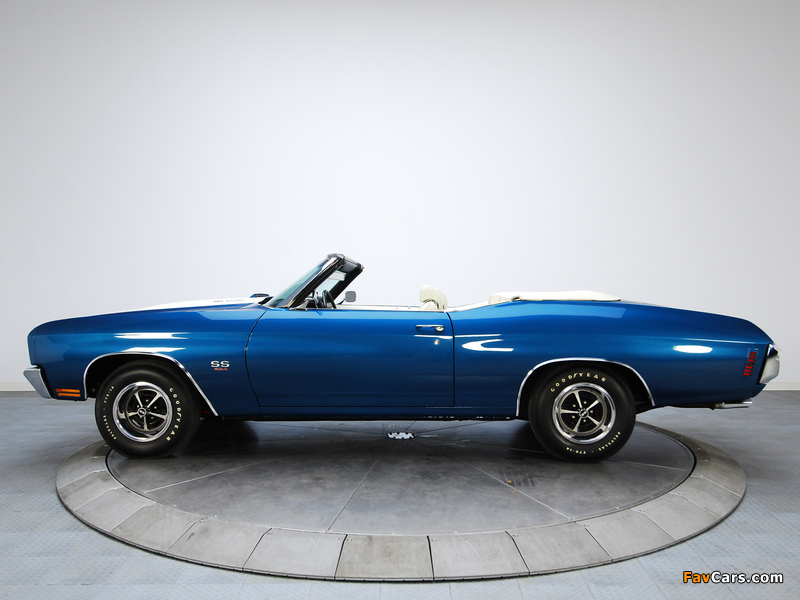 Pictures of Chevrolet Chevelle SS 454 LS5 Convertible 1970 (800 x 600)