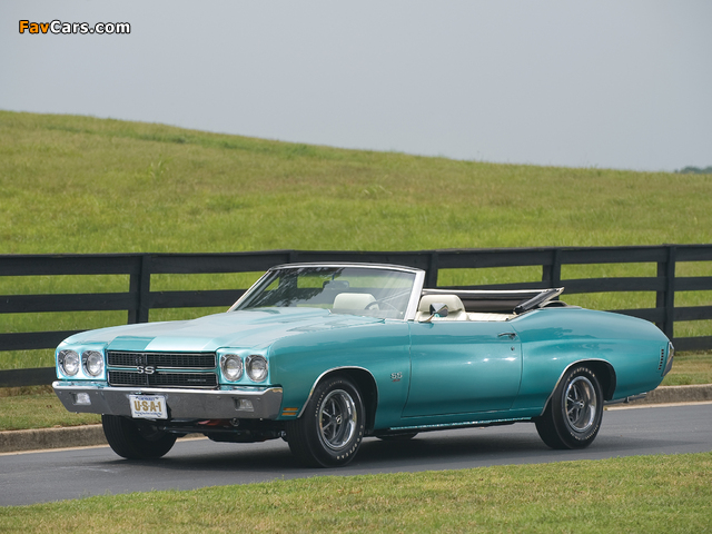 Pictures of Chevrolet Chevelle SS 454 LS6 Convertible 1970 (640 x 480)