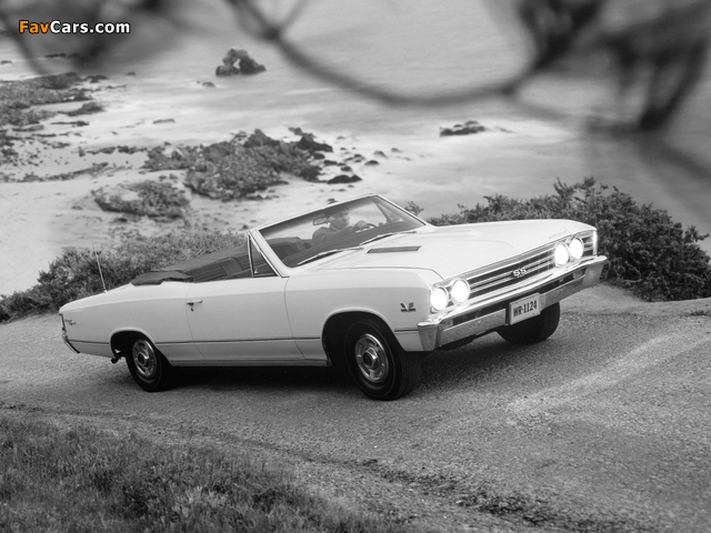 Chevrolet Chevelle SS 396 Convertible 1967 wallpapers (640 x 480)