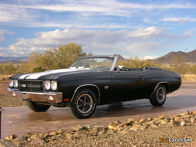 Baldwin-Motion RPO Chevelle SS Drop Top 1970 wallpapers (640 x 480)