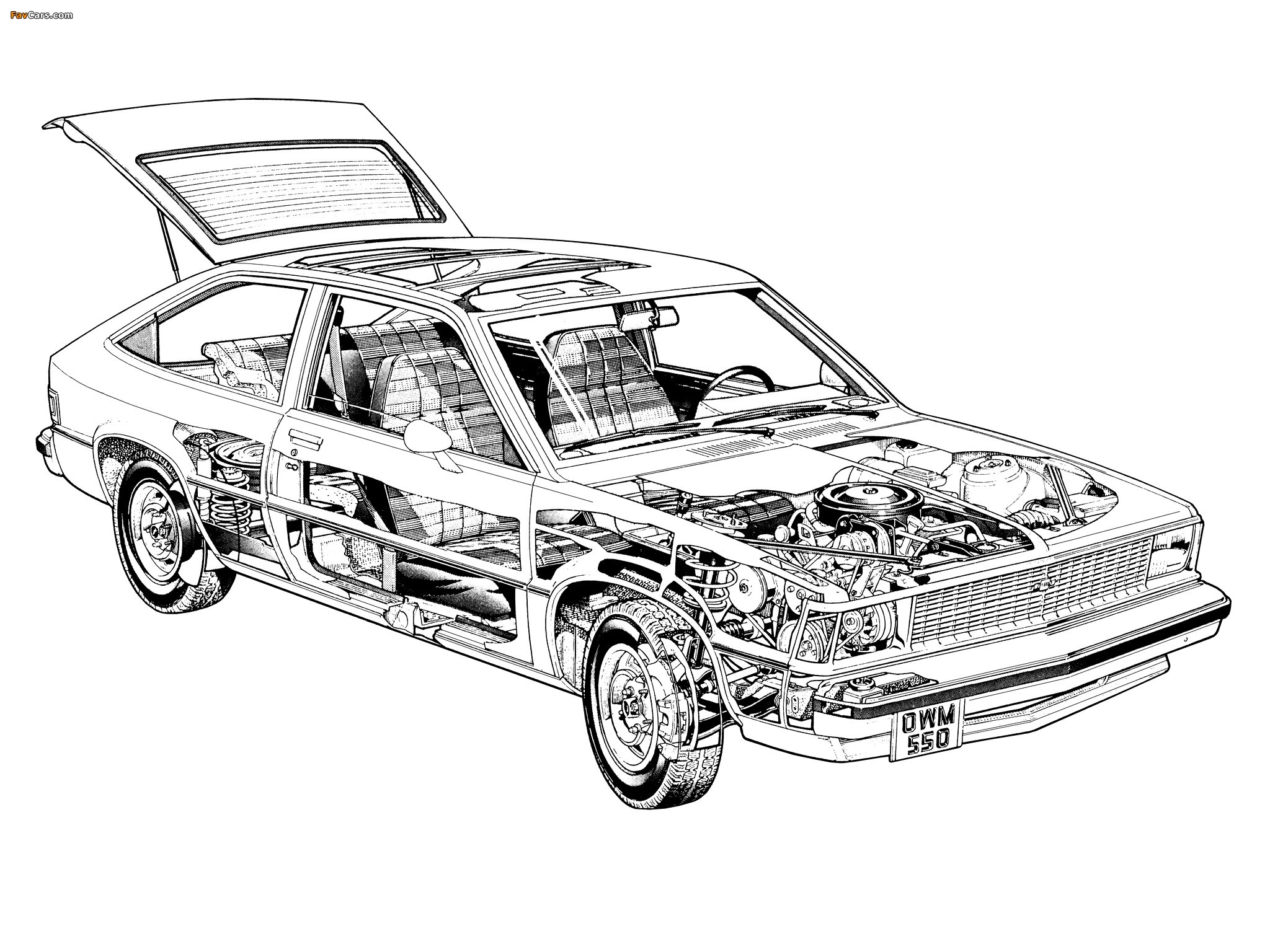 Chevrolet Citation 3-door 1981 pictures (2048 x 1536)