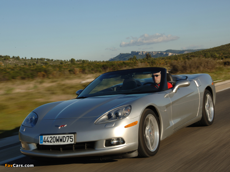 Chevrolet Corvette Convertible (C6) 2004–2013 pictures (800 x 600)