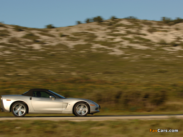 Pictures of Chevrolet Corvette Convertible (C6) 2004–2013 (640 x 480)