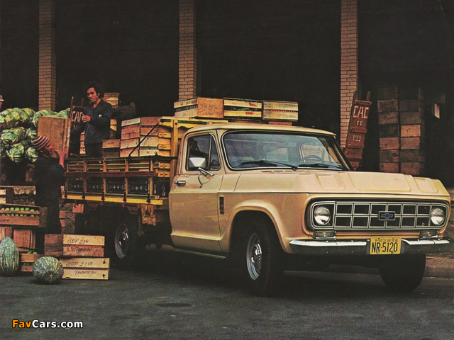 Chevrolet D-10 1979 images (640 x 480)