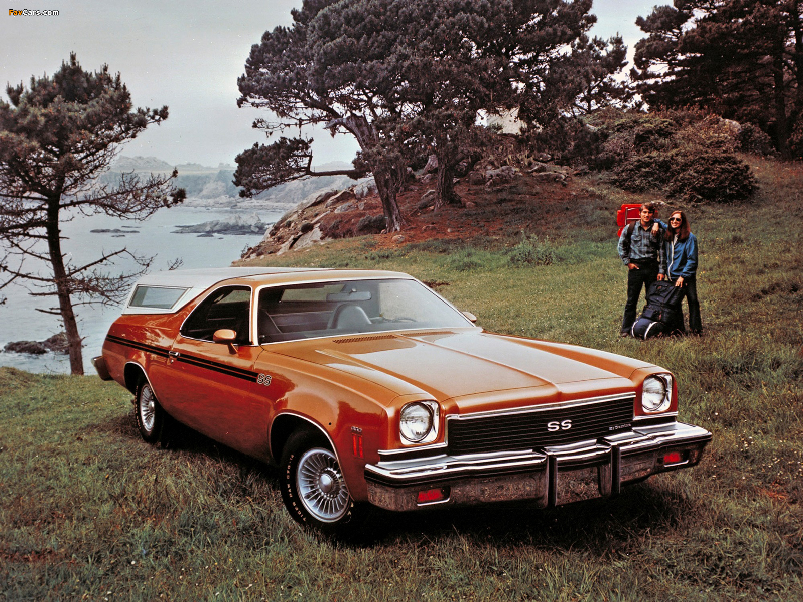 Chevrolet El Camino SS 1973–77 photos (1600 x 1200)