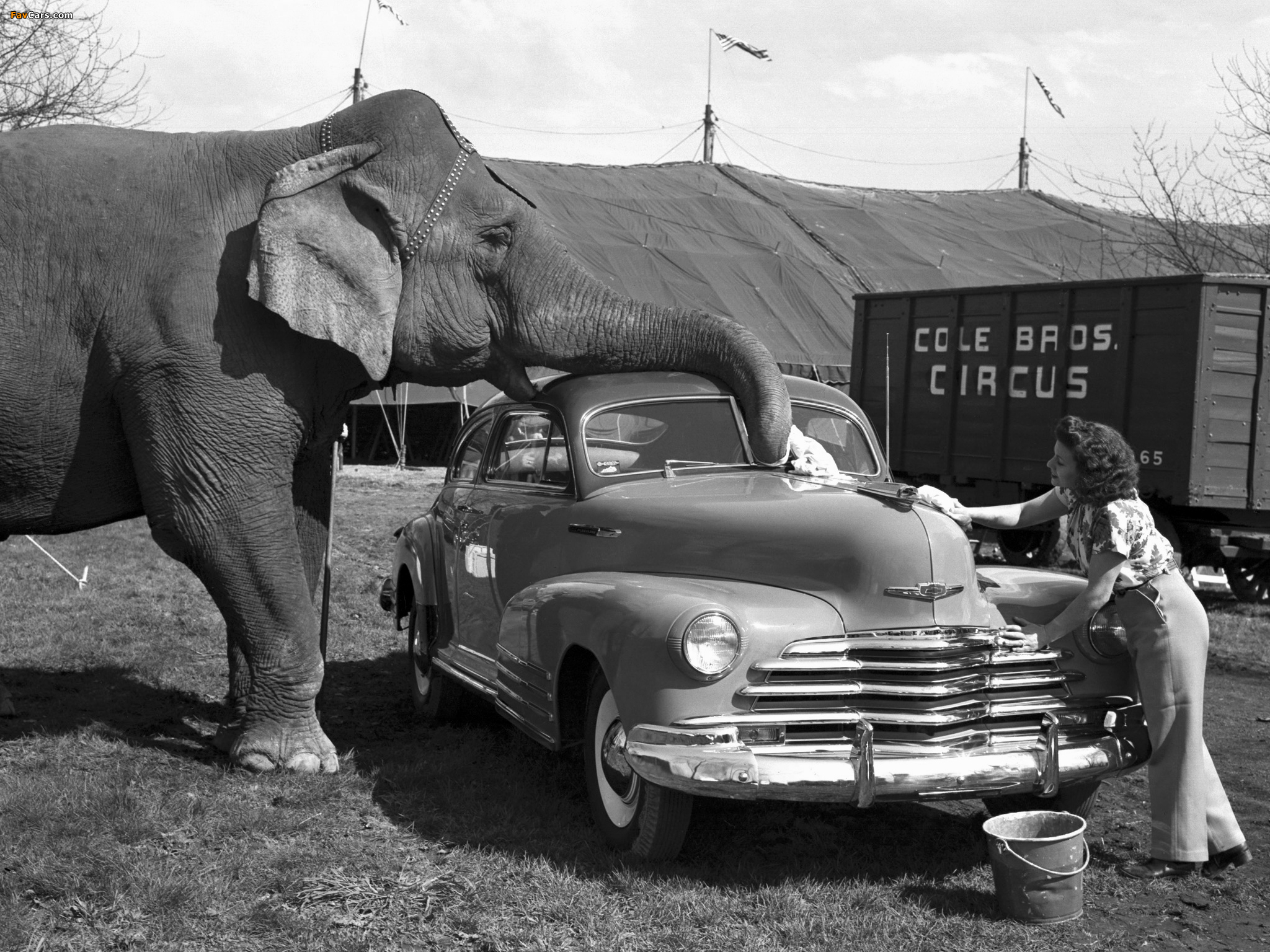Chevrolet Fleetline Aerosedan (EK-2144) 1947 photos (2048 x 1536)