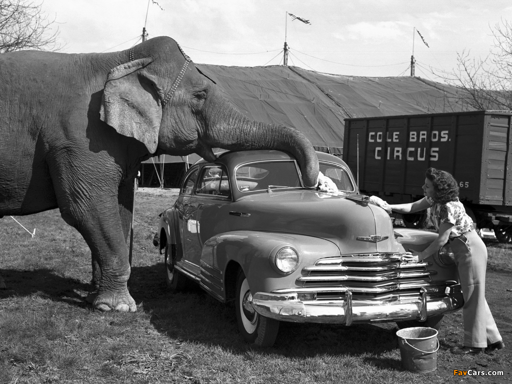 Chevrolet Fleetline Aerosedan (EK-2144) 1947 photos (1024 x 768)