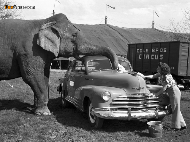 Chevrolet Fleetline Aerosedan (EK-2144) 1947 photos (640 x 480)